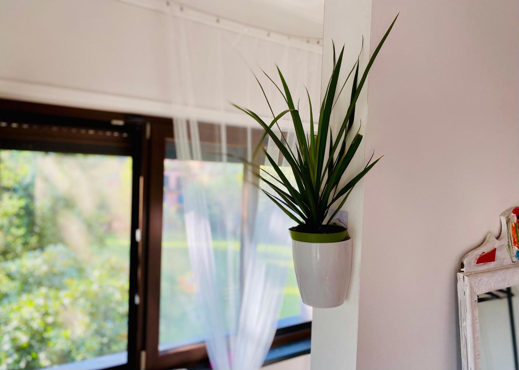 Bed and Breakfast The Luxory Cat Milano Esterno foto