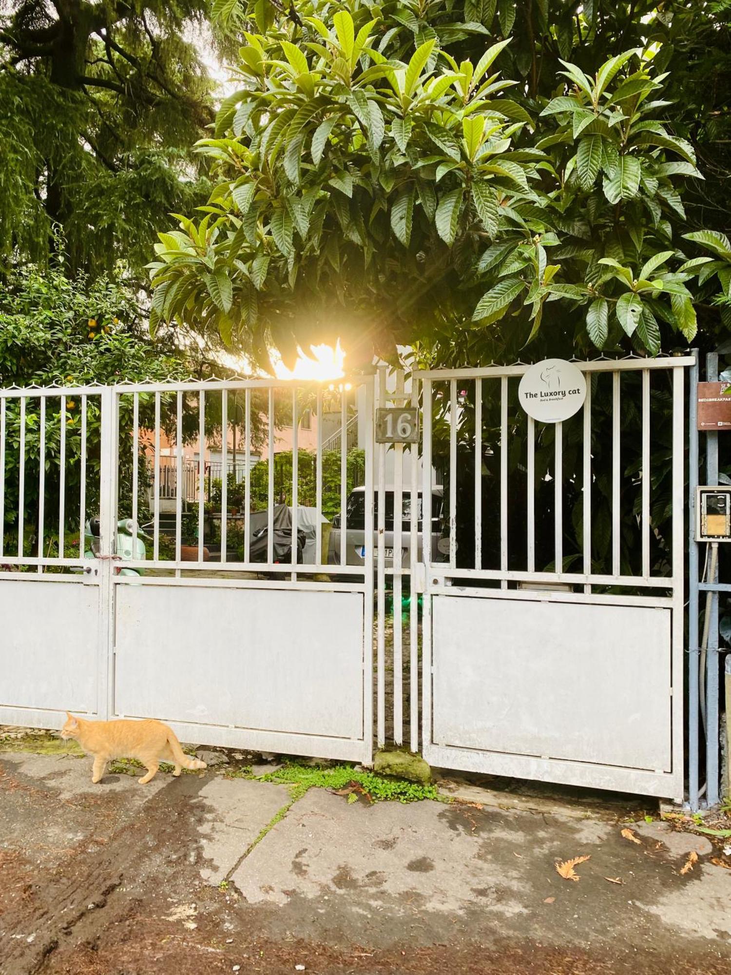 Bed and Breakfast The Luxory Cat Milano Esterno foto
