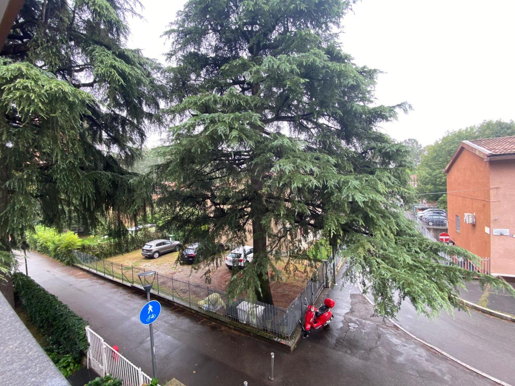 Bed and Breakfast The Luxory Cat Milano Esterno foto