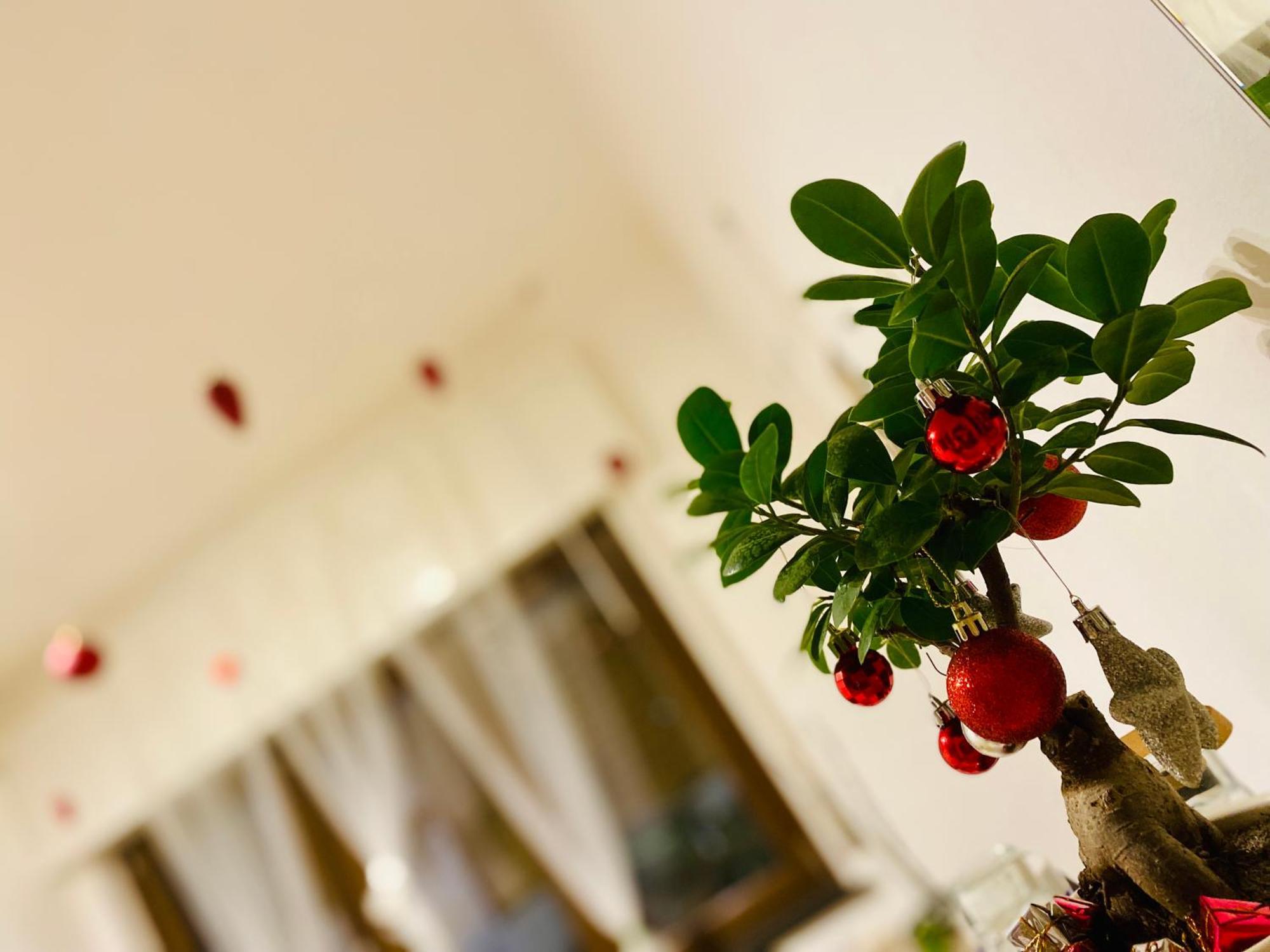 Bed and Breakfast The Luxory Cat Milano Esterno foto